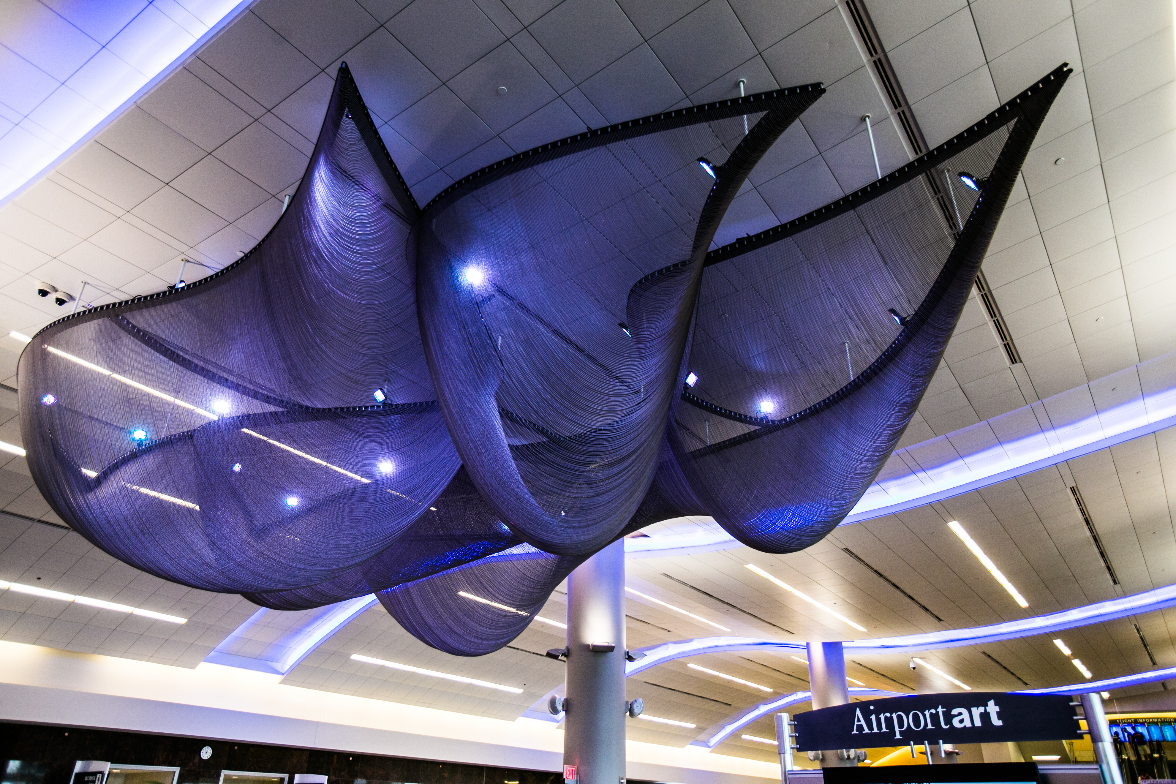 Flight Paths by Steve Waldeck