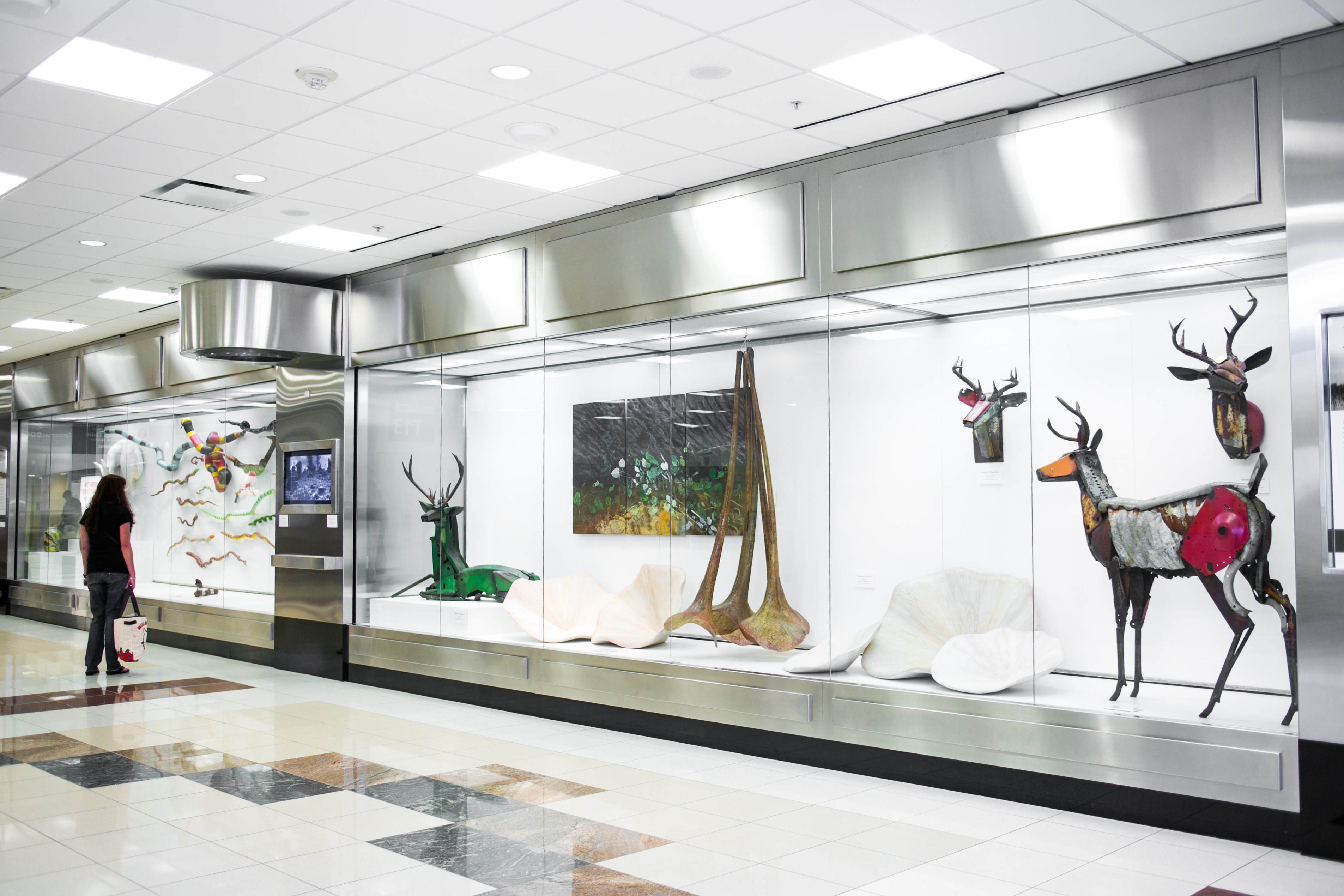 Flight Paths by Steve Waldeck