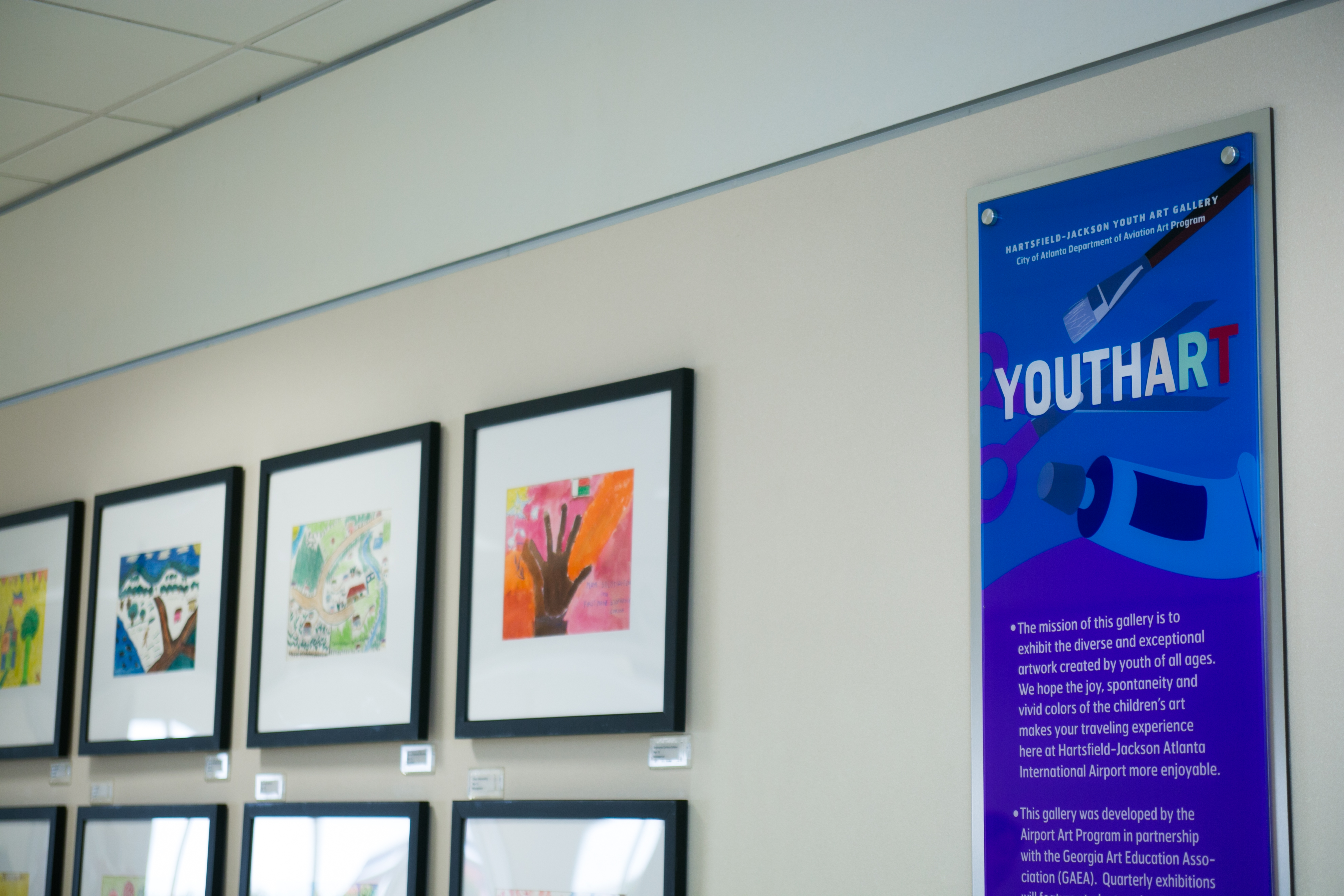 Flight Paths by Steve Waldeck