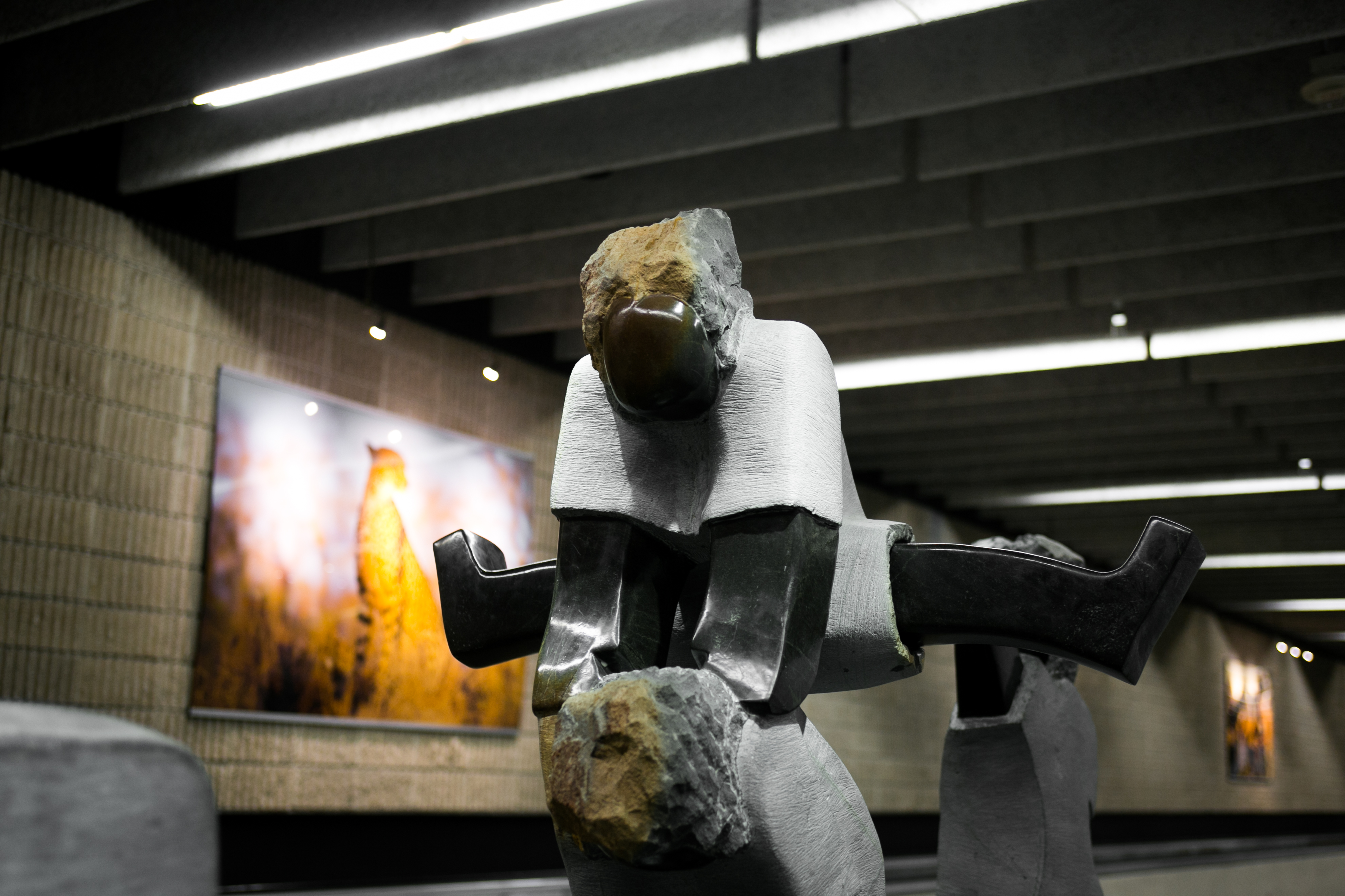 Flight Paths by Steve Waldeck