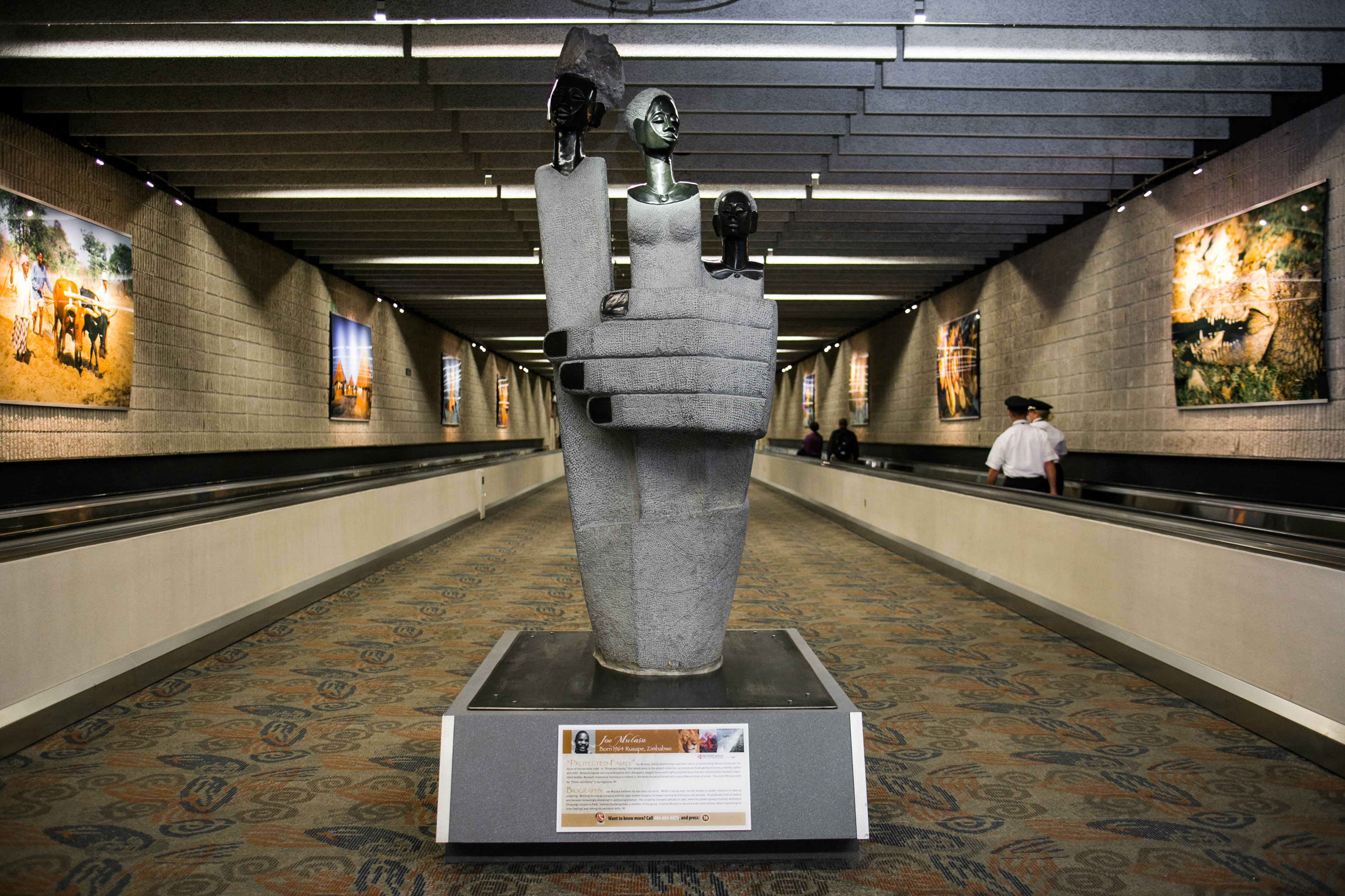 Flight Paths by Steve Waldeck