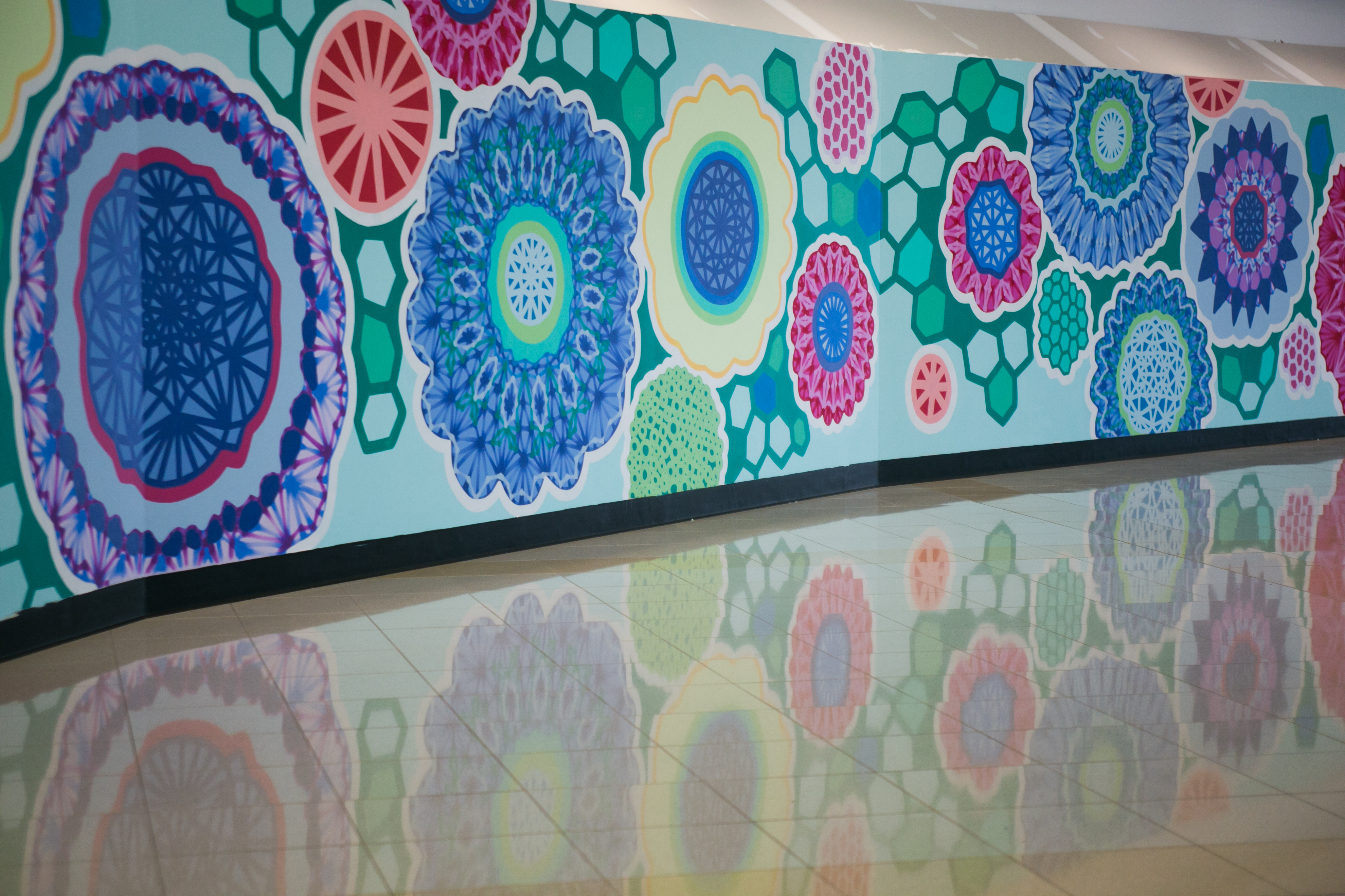 Flight Paths by Steve Waldeck