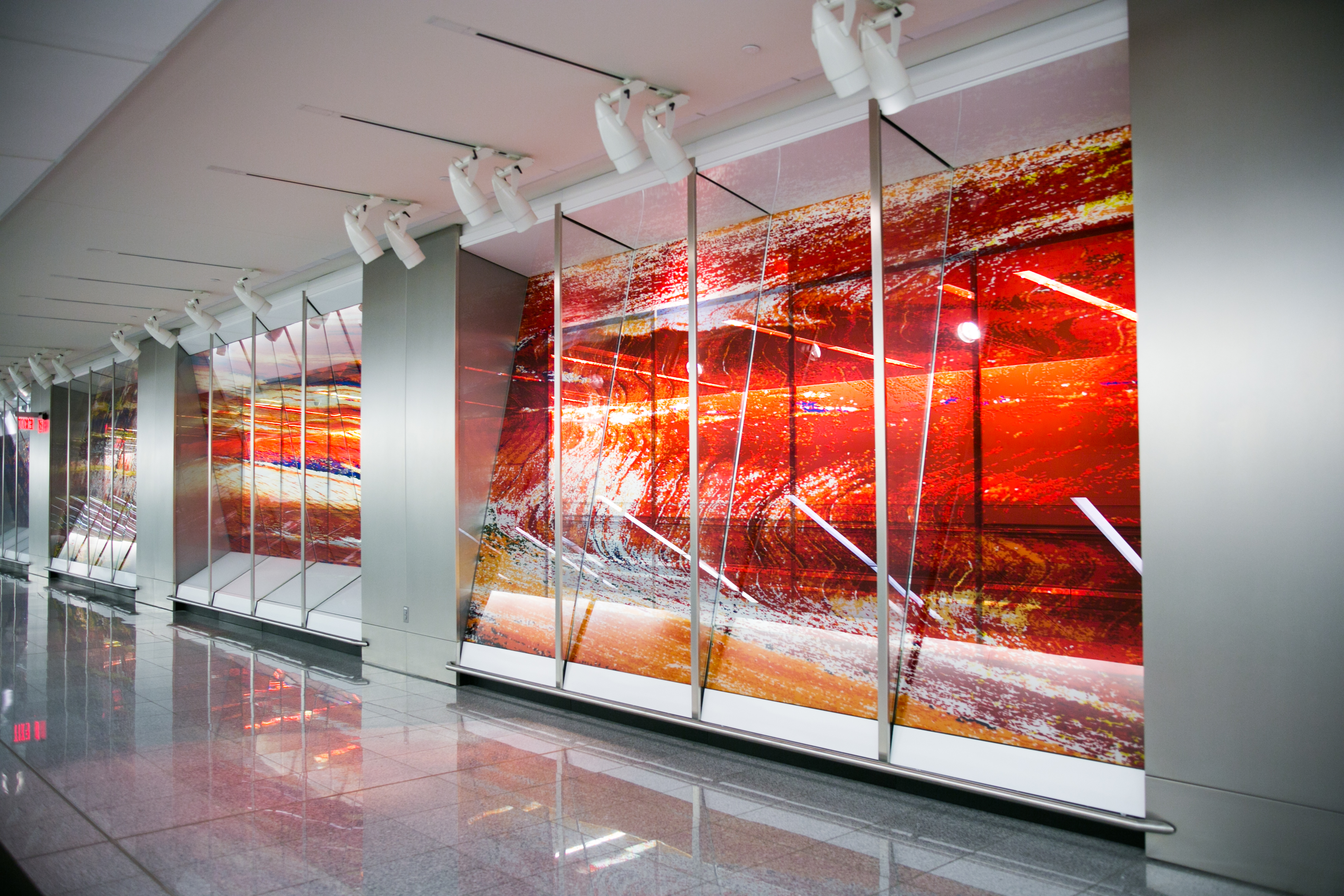 Flight Paths by Steve Waldeck