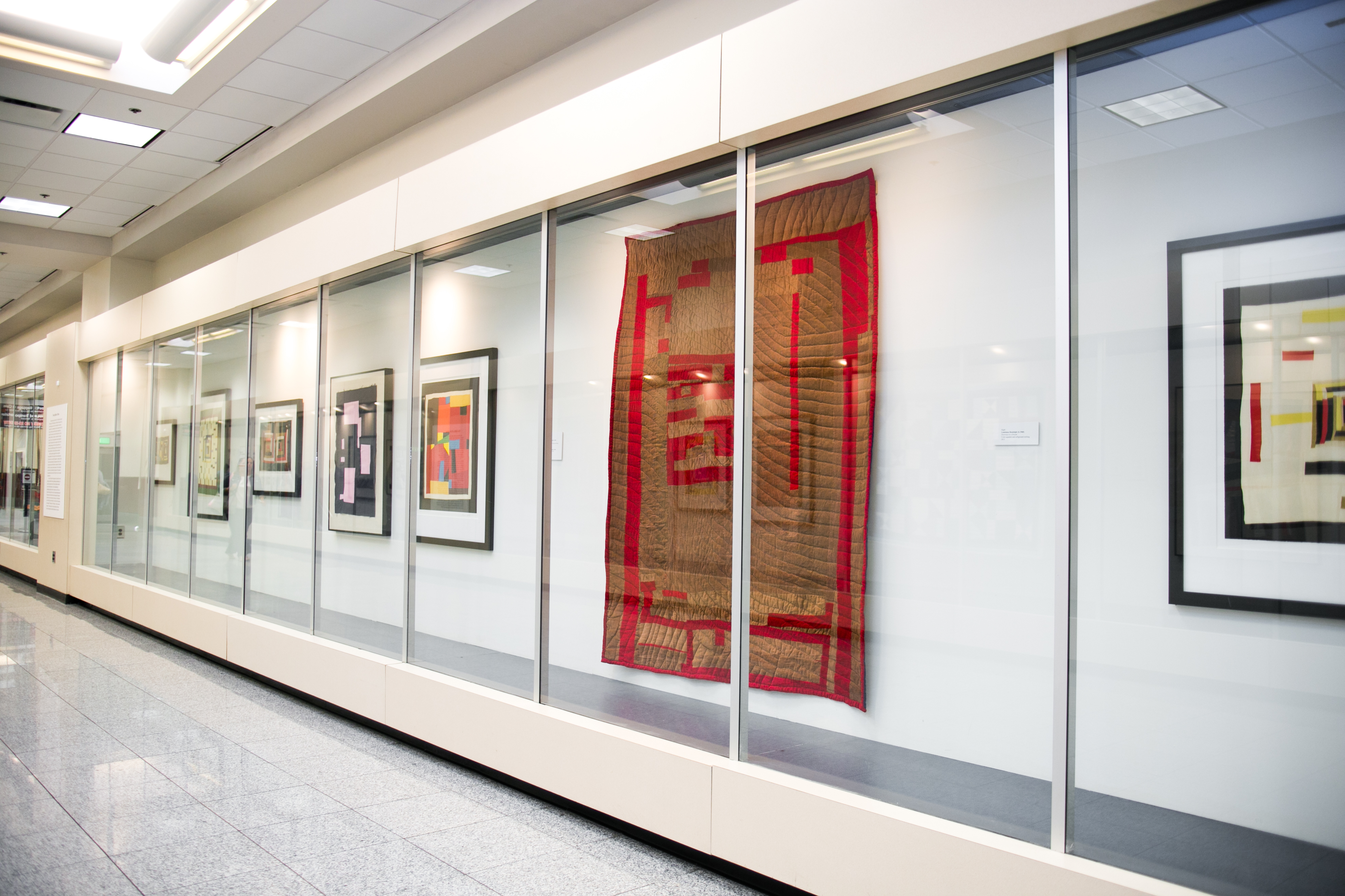 Flight Paths by Steve Waldeck