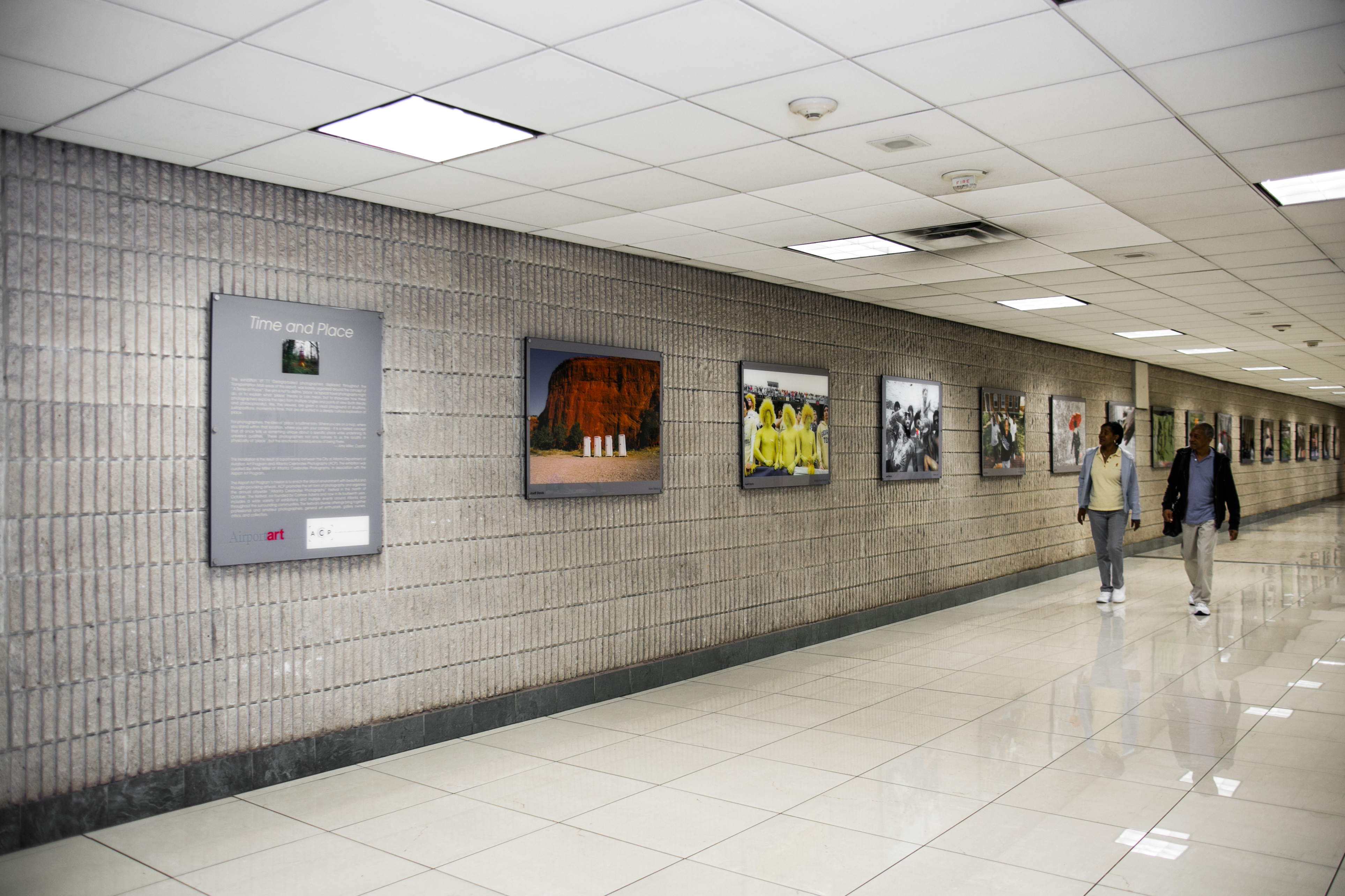 Flight Paths by Steve Waldeck