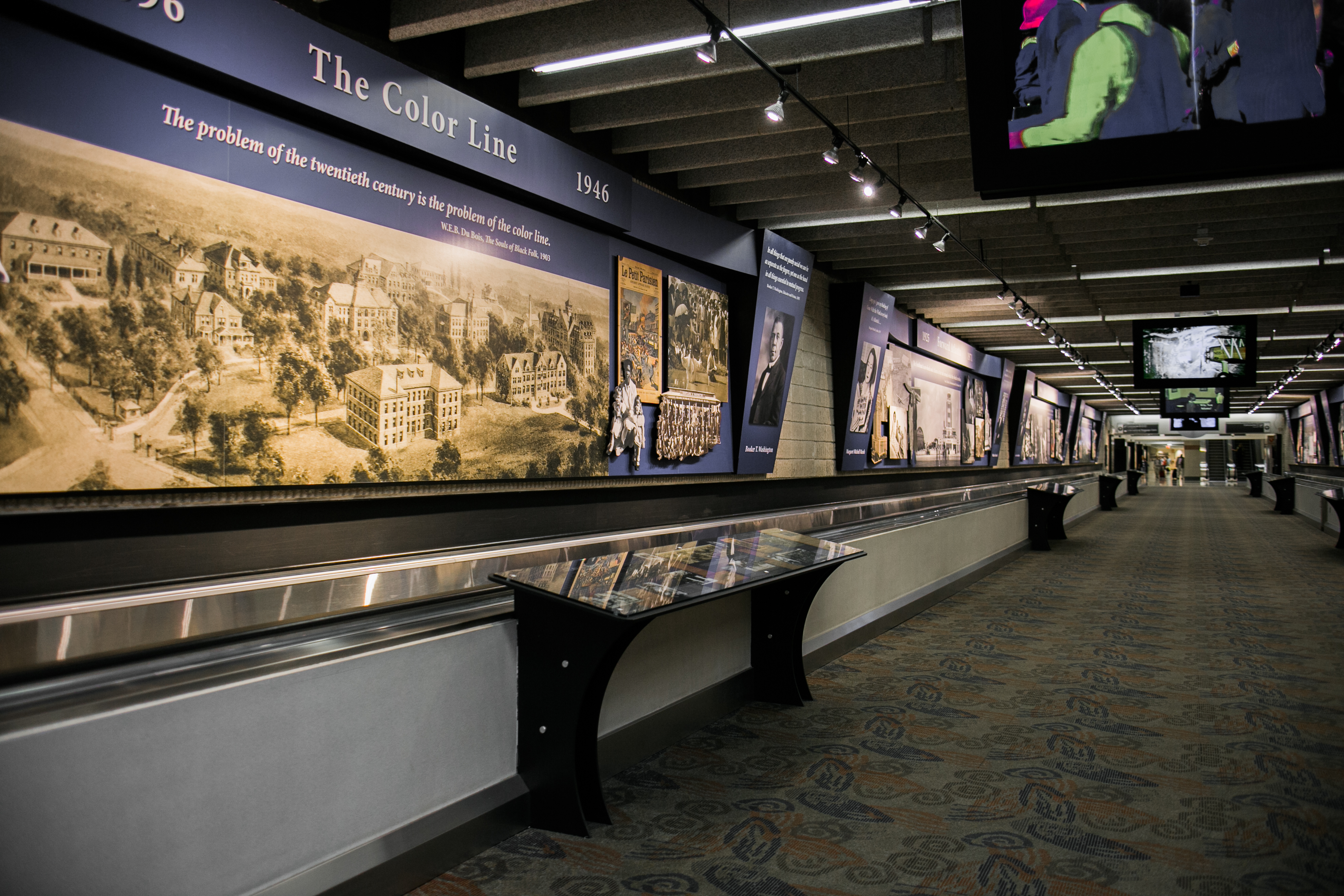 Flight Paths by Steve Waldeck