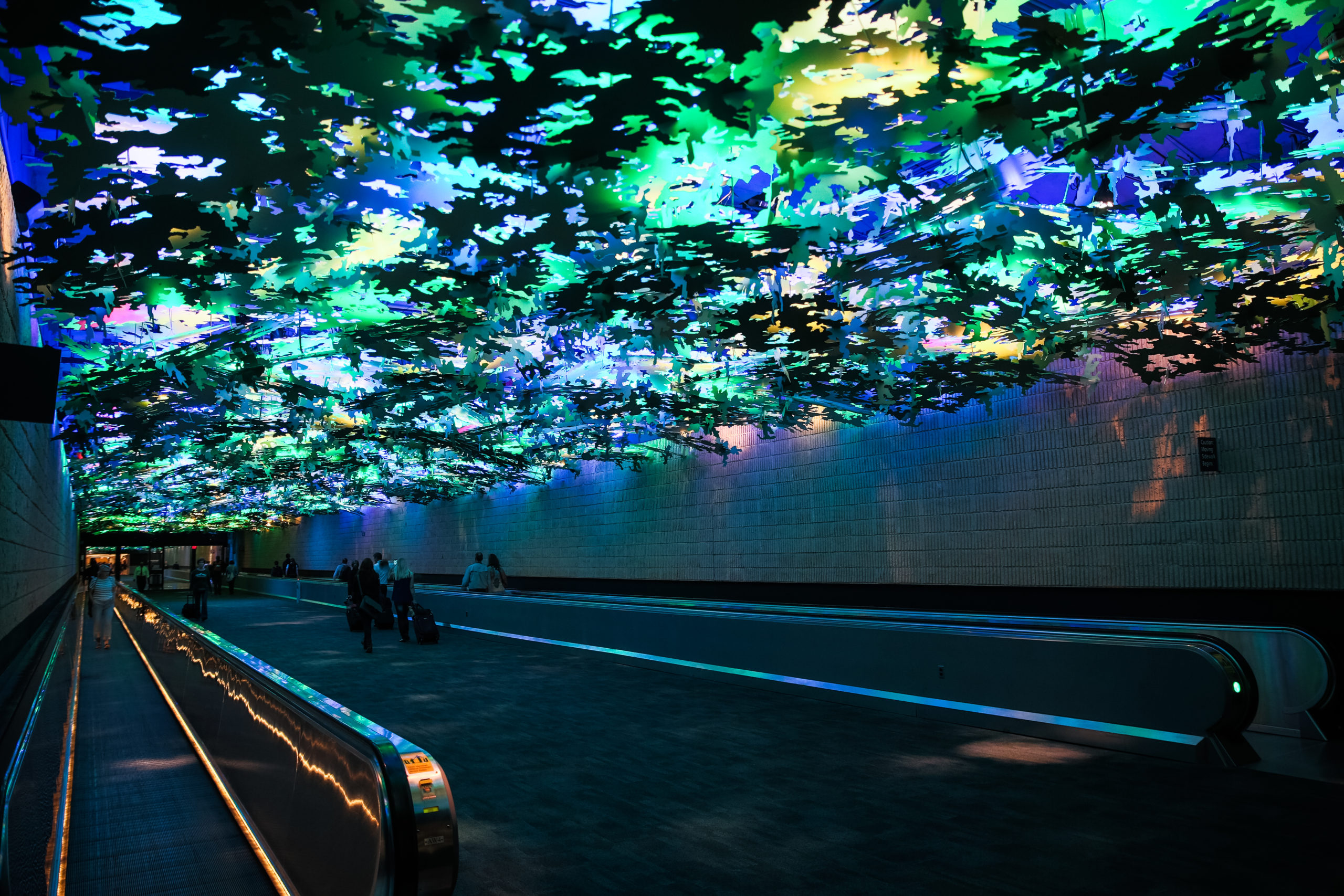 Flight Paths, by Steve Waldeck